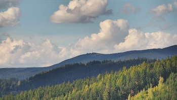 Ski areál U Sachovy studánky