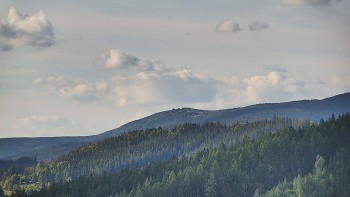 Ski areál U Sachovy studánky