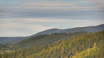 Ski areál U Sachovy studánky