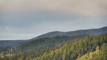 Ski areál U Sachovy studánky