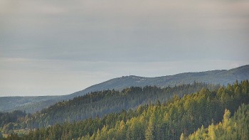 Ski areál U Sachovy studánky