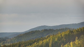 Ski areál U Sachovy studánky