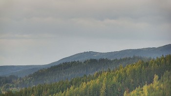 Ski areál U Sachovy studánky