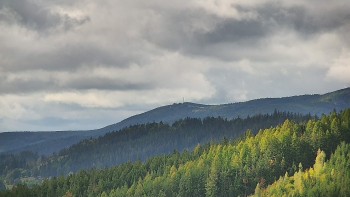 Ski areál U Sachovy studánky