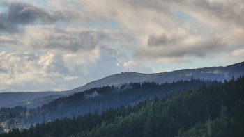 Ski areál U Sachovy studánky