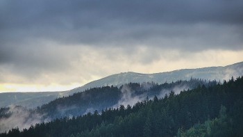 Ski areál U Sachovy studánky