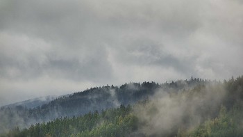 Ski areál U Sachovy studánky