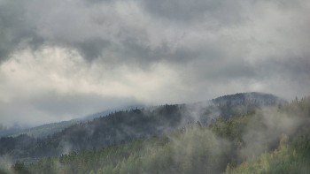 Ski areál U Sachovy studánky