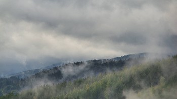 Ski areál U Sachovy studánky