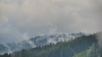 Ski areál U Sachovy studánky