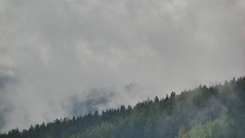 Ski areál U Sachovy studánky