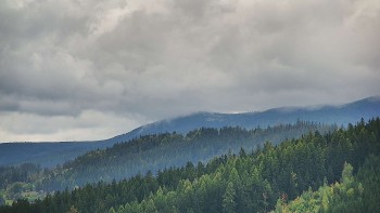 Ski areál U Sachovy studánky