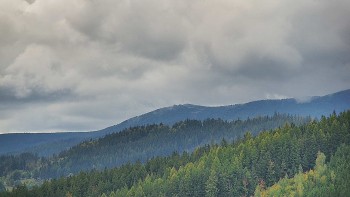 Ski areál U Sachovy studánky