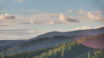Ski areál U Sachovy studánky