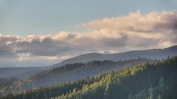 Ski areál U Sachovy studánky