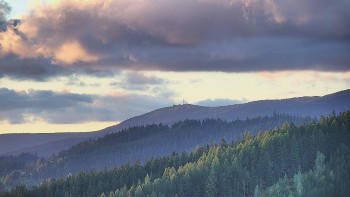Ski areál U Sachovy studánky