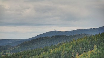 Ski areál U Sachovy studánky