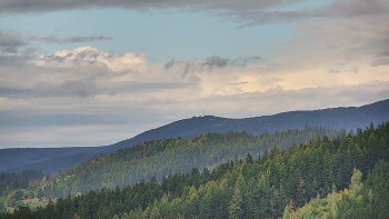 Ski areál U Sachovy studánky