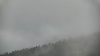 Ski areál U Sachovy studánky
