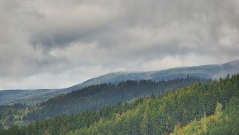 Ski areál U Sachovy studánky