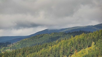 Ski areál U Sachovy studánky