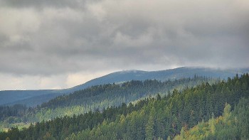 Ski areál U Sachovy studánky