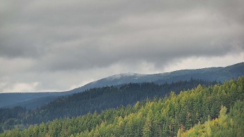 Ski areál U Sachovy studánky