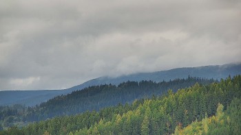 Ski areál U Sachovy studánky