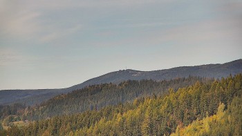 Ski areál U Sachovy studánky