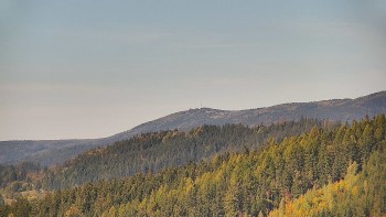 Ski areál U Sachovy studánky