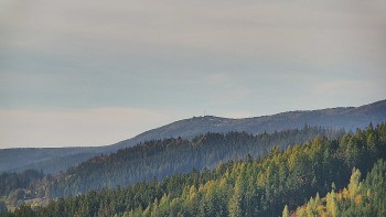 Ski areál U Sachovy studánky