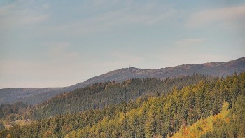Ski areál U Sachovy studánky