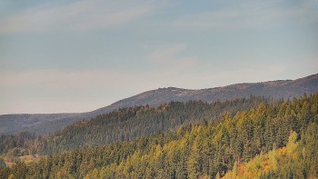 Ski areál U Sachovy studánky