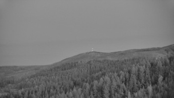 Ski areál U Sachovy studánky