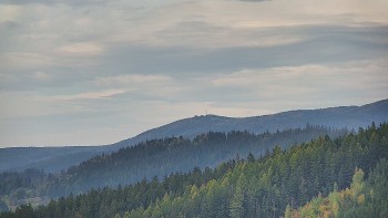 Ski areál U Sachovy studánky