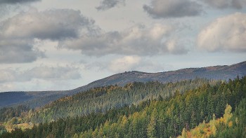 Ski areál U Sachovy studánky