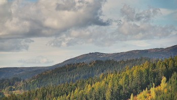Ski areál U Sachovy studánky