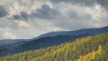 Ski areál U Sachovy studánky