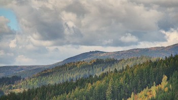Ski areál U Sachovy studánky