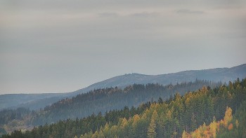 Ski areál U Sachovy studánky