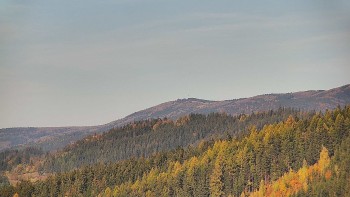 Ski areál U Sachovy studánky