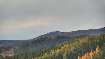 Ski areál U Sachovy studánky
