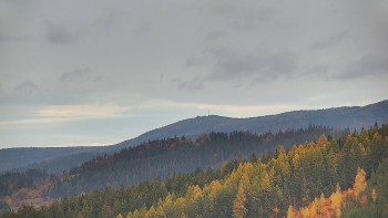 Ski areál U Sachovy studánky