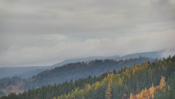Ski areál U Sachovy studánky
