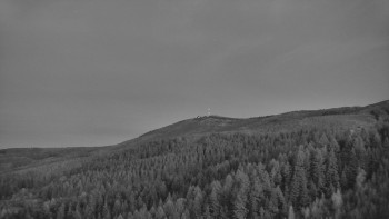 Ski areál U Sachovy studánky