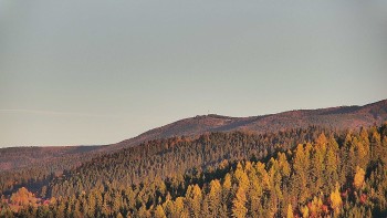 Ski areál U Sachovy studánky