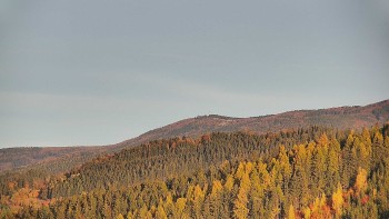 Ski areál U Sachovy studánky
