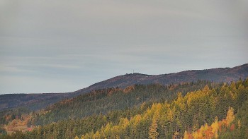 Ski areál U Sachovy studánky