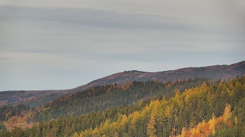 Ski areál U Sachovy studánky