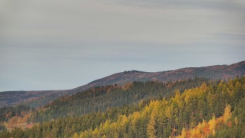 Ski areál U Sachovy studánky